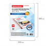 Папки-файлы перфорированные А4 BRAUBERG STANDARD, КОМПЛЕКТ 100 шт., матовые, 40 мкм, 229660