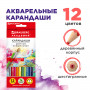 Карандаши цветные акварельные BRAUBERG АКАДЕМИЯ, 12 цветов, шестигранные, высокое качество, 181398