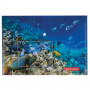 Папка-конверт с кнопкой BRAUBERG SEA WORLD, А4, 160 мкм, до 100 листов, цветная печать, 228041
