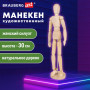 Манекен человека художественный BRAUBERG ART CLASSIC, женский, дерево, высота 30 см, 191290