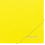 Папка на резинках BRAUBERG Neon, неоновая, желтая, до 300 листов, 0,5 мм, 227461