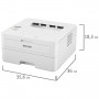 Принтер лазерный RICOH SP 230DNw, А4, 30 стр./мин, ДУПЛЕКС, Wi-Fi, сетевая карта, 408291