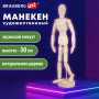 Манекен человека художественный BRAUBERG ART CLASSIC, мужской, дерево, высота 30 см, 191289