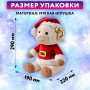 Подарок новогодний МОРОЗ, Мягкая игрушка-символ 2027 года, НАБОР конфет 800 г, WELDAY (ВЭЛДЭЙ), 881407