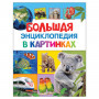 Большая энциклопедия в картинках, Котятова Н.И., 27861