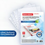 Папки-файлы перфорированные А4 BRAUBERG STANDARD, КОМПЛЕКТ 100 шт., гладкие, 40 мкм, 229661