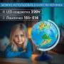 Глобус зоогеографический GLOBEN Классик Евро, диаметр 250 мм, с подсветкой, детский, Ке012500270