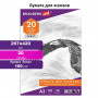 Папка для рисования БОЛЬШОГО ФОРМАТА А3, 20 л., 160 г/м2, BRAUBERG, 297х420 мм, Орел, 125228