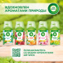 Сменный баллон 250 мл, AIRWICK Анти-табак. Апельс/бергамот, для автоматических освежителей, универсальный, 224392