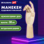 Манекен художественный BRAUBERG ART CLASSIC, Рука, высота 30 см, мужская правая, дерево, 191297