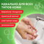 Мыло жидкое 5 л, ЛАЙМА PROFESSIONAL Алоэ и зеленый чай, 601431
